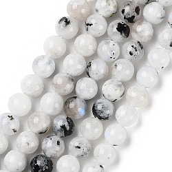 Natural Rainbow Moonstone Beads Strands, Round, 6mm, Hole: 0.6mm, about 63pcs/strand, 15.75''(40cm)(G-Q1001-A05-02)