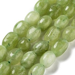 Dyed Natural Malaysia Jade Beads Strands, Oval, Yellow Green, 8.5~11x7~8.5x7~8.5mm, Hole: 1mm, about 18pcs/strand, 7.28~7.48 inch(18.5~19cm)(G-P528-I01-01)