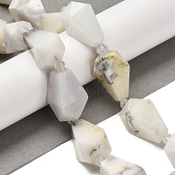 Natural White African Opal  Beads Strands, Faceted, Teardrop, with Seed Beads, 19~21.5x12~13mm, Hole: 2mm, about 15~16pcs/strand, 14.96~15.7 inch(38~40cm)(G-NH0005-B11-01)