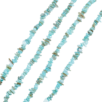 Natural Freshwater Shell Beads Strands, Chip, Dyed, Turquoise, 5~8x5~8x2~6mm, Hole: 1mm, 30.71~32.28''(78~82cm)