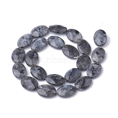 Natural Labradorite Beads Strands(G-S292-40)-2