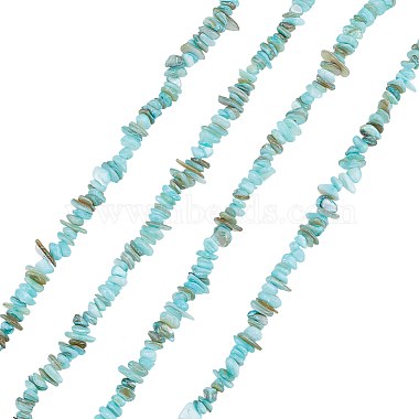 Natural Freshwater Shell Beads Strands(BSHE-WH0006-05B)-1