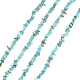 Natural Freshwater Shell Beads Strands(BSHE-WH0006-05B)-1