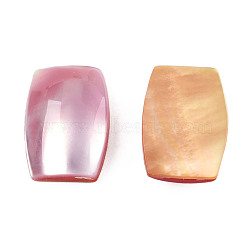 Natural Turbo Cornulus/Top Shells Cabochons, with Acrylic and Yellow Shell, Dyed, Rectangle, Pink, 18x12.5x4~5mm(SSHEL-N003-153B)