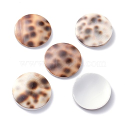 Tiger Cowrie Shell Cabochons, Flat Round, 18x3mm(BSHE-Z002-11)