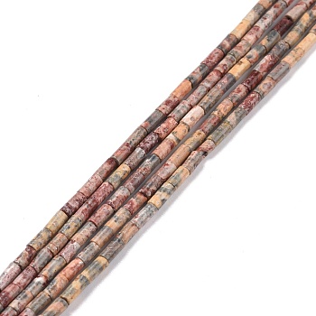 Natural Leopardskin Round Bead Strands, Column, 3.8~4.3x2.4mm, Hole: 0.9mm, about 87pcs/strand, 14.88''(37.8cm)