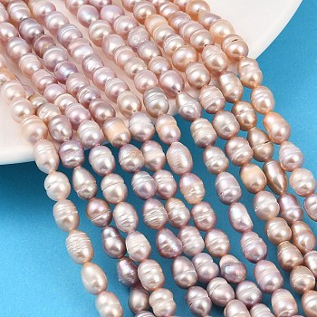 Natural Cultured Freshwater Pearl Beads Strands, Rice, Grade 2A, Thistle, 6~7mm, Hole: 0.6mm, about 37~44pcs/strand, 13.58~13.98''(34.5~35.5cm)