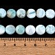 Natural Larimar Beads Strands(G-F675-08)-6