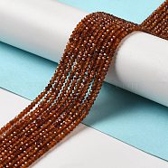 Natural Orange Garnet Beads Strands, Faceted, Rondelle, 3x2mm, Hole: 0.6mm, about 168~193pcs/strand, 14.96''~15.35''(38~39cm)(G-M426-A01-01)
