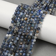 Natural Kyanite Beads Strands, Faceted, Round, 3.5~4mm, Hole: 0.7mm, about 90~92pcs/strand, 15''(G-M092-D03-02)