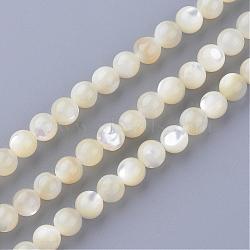 Natural Sea Shell Beads Strands, Round, 4~4.5mm, Hole: 1mm, about 86pcs/strand, 15.7 inch(SSHEL-S252-03)