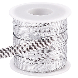 Sparkle Nylon Ribbon, for Dreadlock Braiding Rope, Gift Wrapping, Ornament Hanging, Silver, 3/8 inch(11mm)(OCOR-GF0004-48D-06)
