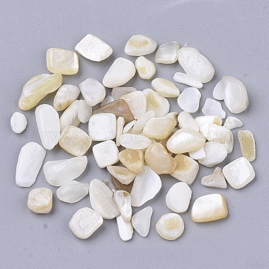 Perles de coquille d'eau douce(X-SHEL-S266-11)-2