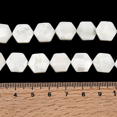 Natural White Shell Beads Strands(SHEL-G022-01)-4
