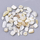 Freshwater Shell Beads(X-SHEL-S266-11)-2