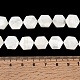 Natural White Shell Beads Strands(SHEL-G022-01)-4