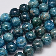 Natural Apatite Round Bead Strands, 12mm, Hole: 1mm, about 33pcs/strand, 15.5 inch(G-M304-14-12mm)