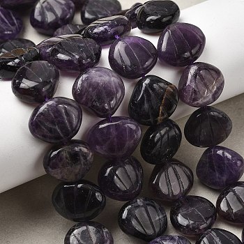 Natural Amethyst Carved Beads Strands, Shell Shape, 14~15x16~17x6~7mm, Hole: 1mm, about 28~29pcs/strand, 15.35~15.55''(39~39.5cm)