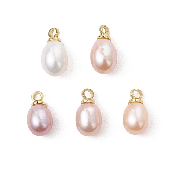 Natural Cultured Freshwater Pearl Rice Charms, with Brass Peg Bails, Golden, Mixed Color, 10.5x5.5mm, Hole: 1.6mm