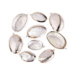 Electroplate Natural Paua Shell Pendants, Shell Shape Charms, with Iron Loops and Brass Findings, White, Light Gold, 31~47x19~28x4~7mm, Hole: 1.6~1.8mm(SSHEL-Q100-15KCG)