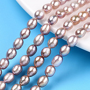 Natural Cultured Freshwater Pearl Beads Strands, Rice, Thistle, 6.5~7.5x5~5.7mm, Hole: 0.7~0.8mm, about 55~56pcs/strand, 14.57 inch(37cm)(PEAR-N012-05T)