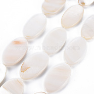 Natural Freshwater Shell Beads Strands, Oval, Seashell Color, 34~35x19~20x4~5mm, Hole: 0.6mm, about 34~35pcs/strand, 14.96 inch(38~38.5cm)(SHEL-N026-169)
