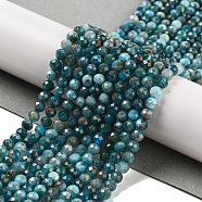 Natural Apatite Beads Strands, Faceted, Round, 4.5mm, Hole: 0.7mm, about 96pcs/strand, 15.55 inch(39.5cm)(G-C127-A01-02)