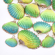 Spray Paint & Electroplate Sea Shell Pendants, with Iron Findings, Light Gold, Colorful, 19~28x20~30x7~11mm, Hole: 2mm(SSHEL-S262-07B)