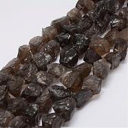 Raw Rough Natural Smoky Quartz Beads Strands, Nuggets, 15~20x14~18x10~14mm, Hole: 1mm, about 25pcs/strand, 14.9 inch(38cm)(G-E343-07)