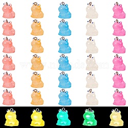 35Pcs 7 Colors Transparent Resin Pendants Colorful Fluorescent Little Frog Pendant Creative Jewelry Accessories, Mixed Color, 21.5x14mm, Hole: 2.5mm, 5pcs/color(JX855A)