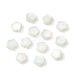 30Pcs Natural Freshwater Shell Beads, Flower, Seashell Color, 6x6x2mm, Hole: 0.7mm(SHEL-CJ0001-29)