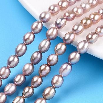 Natural Cultured Freshwater Pearl Beads Strands, Rice, Thistle, 6.5~7.5x5~5.7mm, Hole: 0.7~0.8mm, about 55~56pcs/strand, 14.57 inch(37cm)