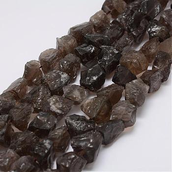 Raw Rough Natural Smoky Quartz Beads Strands, Nuggets, 15~20x14~18x10~14mm, Hole: 1mm, about 25pcs/strand, 14.9 inch(38cm)