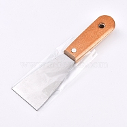 Stainless Steel Putty Knife, for Drywall Spackle, Taping, Scraping Paint, Stainless Steel Color, 192x50x16mm(TOOL-WH0121-18C)