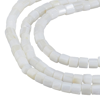 3 Strands Natural Freshwater Shell Beads Strands, Column, Seashell Color, 3.5~3.8x3.5mm, Hole: 0.8mm, about 114pcs/strand, 15~15.5''(39~39.5cm)