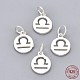 925 Sterling Silver Charms(X-STER-T002-44S-08)-1