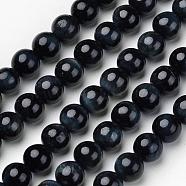 Natural Blue Tiger Beads Strands, Grade A, Round, 6mm, Hole: 1mm, about 63pcs/strand, 15.4 inch(G-D809-08-6mm)
