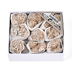 Natural Desert Rose Stone Geode Cornucopia Mineral Specimen, Raw Crystal Cluster, Healing Crystal Home Decor Gift, with Paper Box, 25~46x15~35x8~32mm(G-N360-04B)