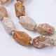 Natural Fossil Coral Beads Strands(G-F554-09)-3
