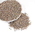 8/0 Glass Seed Beads, Metallic Colours Style, Round, Gold, 8/0, 3mm, Hole: 1mm, about 10000pcs/pound(SEED-A017-3mm-1107)