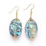 Abalone Shell/Paua Shell Dangle Earrings, with Brass Earring Hooks, Oval with Tree, Golden, 55.5~57.5mm, Pin: 0.6mm(EJEW-L235-02G)