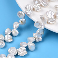 Natural Baroque Style Keshi Pearl Beads Strands, Cultured Freshwater Pearl, Nuggets, Seashell Color, 8~25x6~12x3.5~11mm, Hole: 0.5mm, about 57~64pcs/strand, 15.35 inch~15.75 inch(39~40cm)(PEAR-S020-R06)