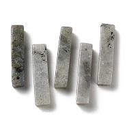 Natural Labradorite Pendants, Rectangle Charms, 39~40x9.5~10x8~8.5mm, Hole: 1.8~2mm(G-Z031-01G)