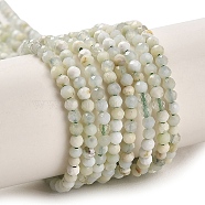 Natural Green Opal Beads Strands, Faceted, Round, 2mm, Hole: 0.5mm, about 172~174pcs/strand, 15.75''(40~40.5cm)(G-Z035-A02-01B)