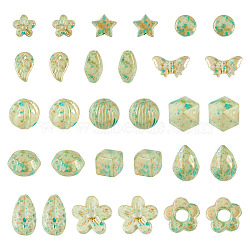 100G Opaque Acrylic Beads, Golden Metal Enlaced, Mixed Shapes, Light Green, 5~20mm(FIND-TA0008-40)