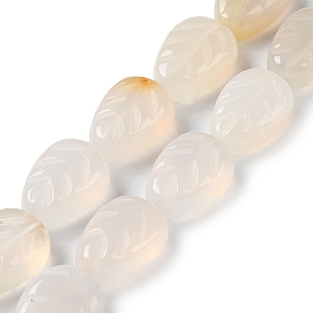 Natural White Agate Beads Strands, Leaf, 14~14.5x10~10.5x5.5~6mm, Hole: 1.2mm, about 15pcs/strand, 8.43''(21.4cm)