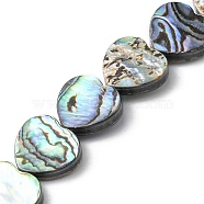 Natural Paua Shell Beads Strands, Heart, 12~13.5x12.5x3mm, Hole: 0.5mm, about 33pcs/strand, 14.96 inch(38cm)(SHEL-F006-04)