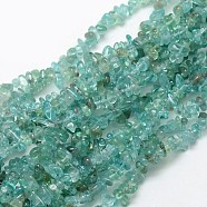 Natural Apatite Chip Beads Strands, 3~5x3~5mm, Hole: 1mm, about 32 inch(G-L154-23)