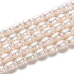 Natural Cultured Freshwater Pearl Beads Strands, Rice, Bisque, 8~9x7mm, Hole: 0.6mm, about 45pcs/strand, 15.16 inch(38.5cm)(PEAR-L033-74)
