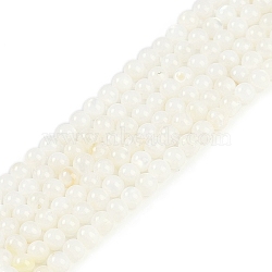 Natural Freshwater Shell Beads Strands, Round, White, 4mm, Hole: 0.5mm, about 97pcs/strand, 14.96''(38cm)(BSHE-H109-03B)